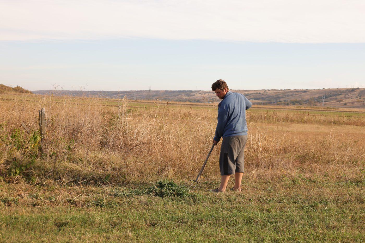 A farmer works in a field.